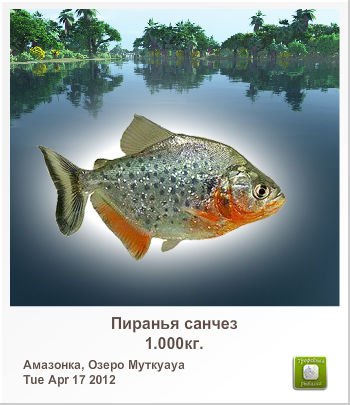 Влад Яхницкий | Świnoujście