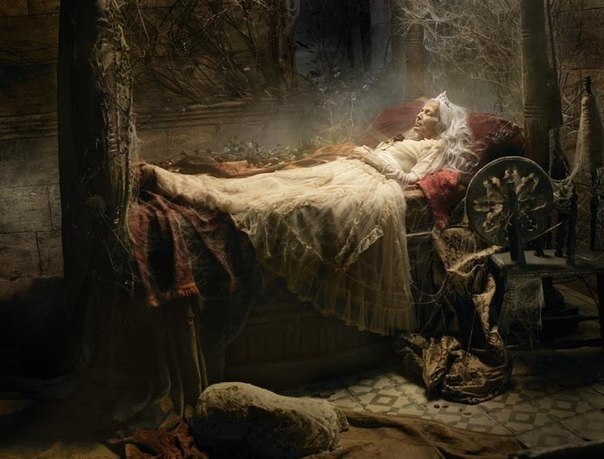 Елена Коновалова | Киев