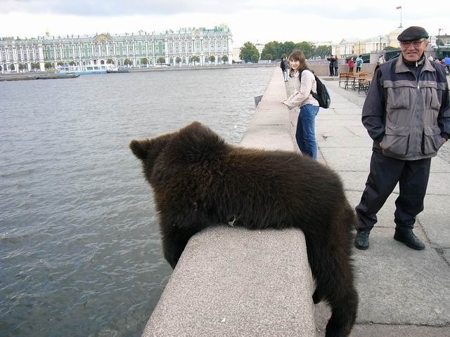 Наталья Кибенко | Санкт-Петербург