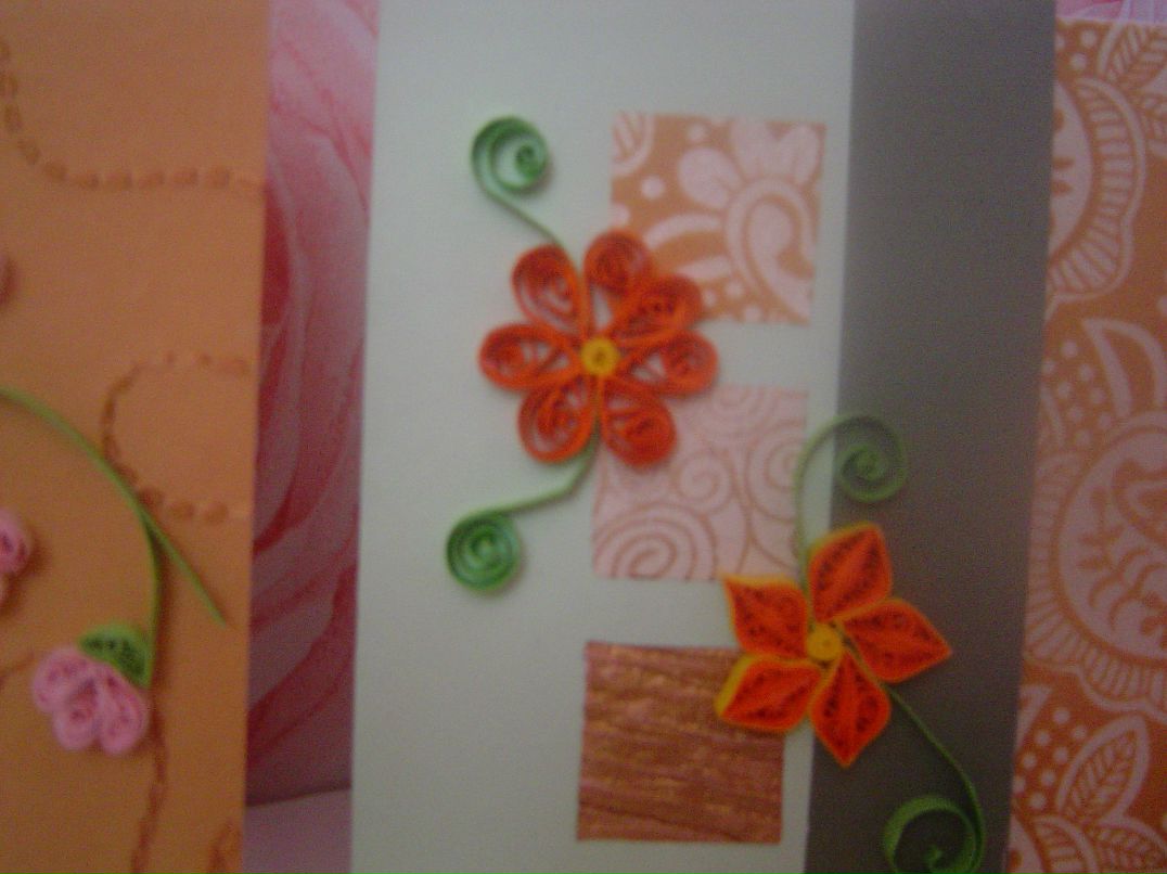 Арина Левчук | Новороссийск