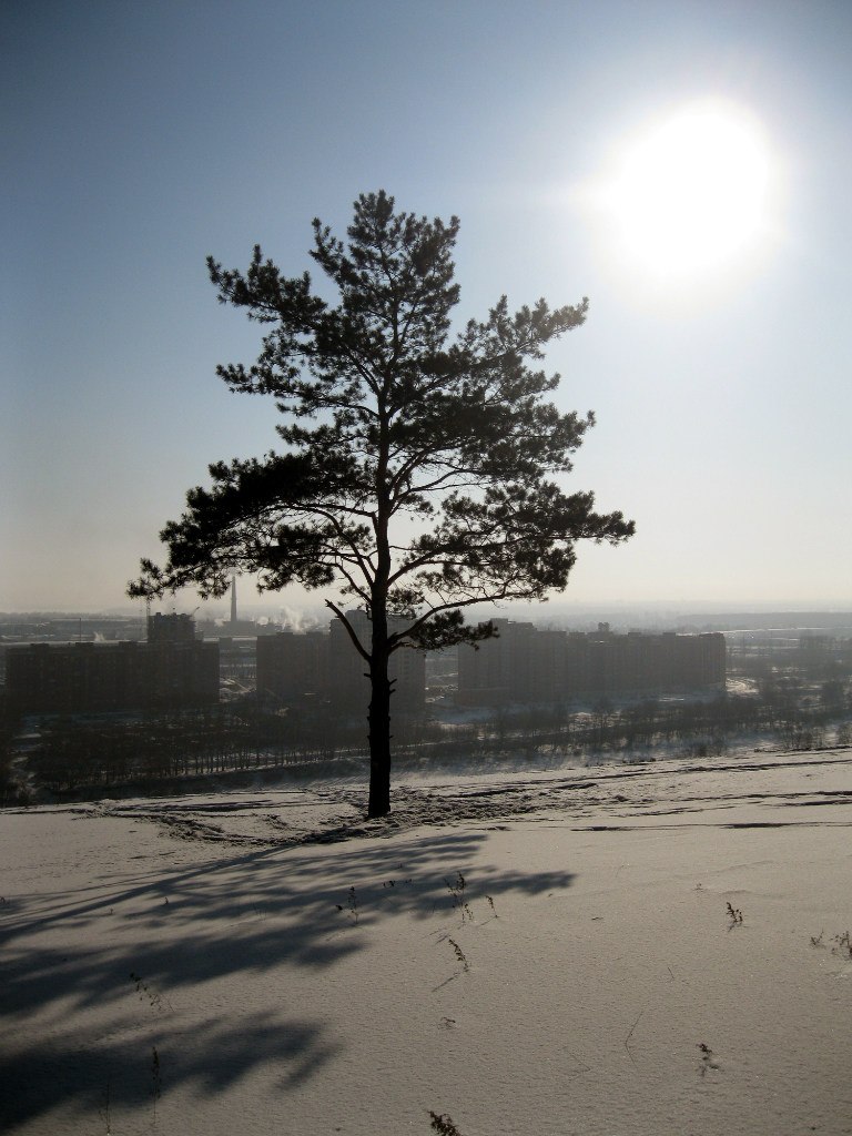 Алёнка Ченина | Новосибирск