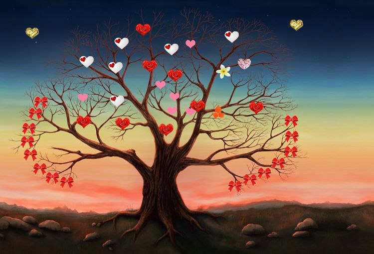 Арина Кудрявцева | Нифантово