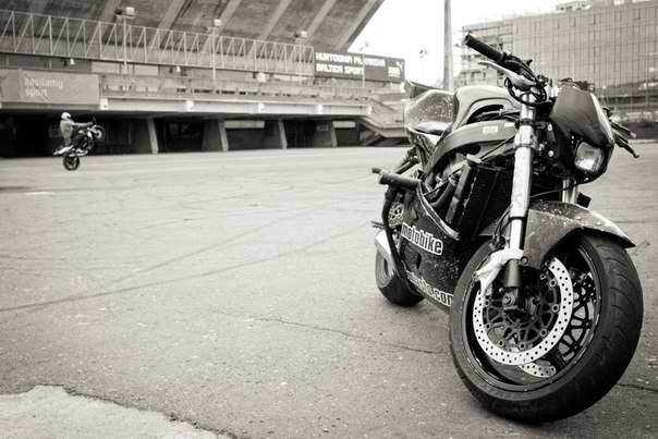 Вика Королева | 