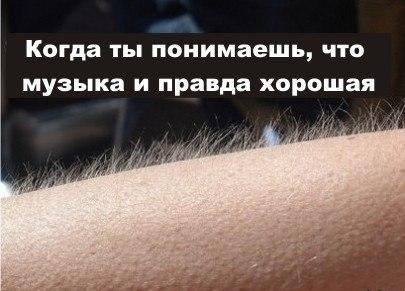 №59, Антон Ильин, Севастополь №59, Антон Ильин, Севастополь