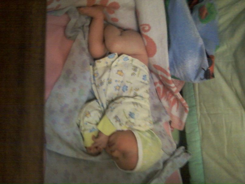 Елена Даначева-Покрова | Мурманск