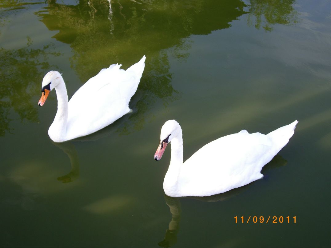 Оксана Грехова | Екатеринбург