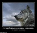 Фотография Варяг Русский