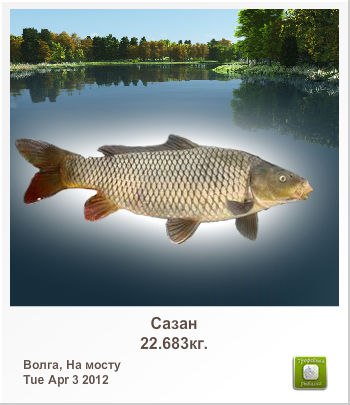 Сергей Верниковский | Санкт-Петербург