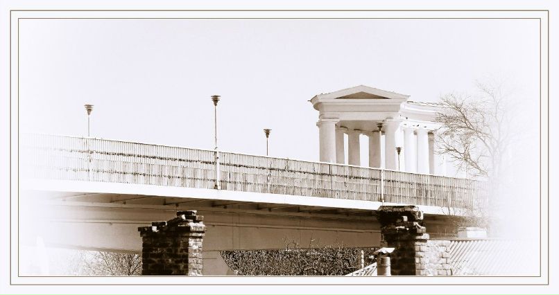 Елена Мунтян Elly | Одесса