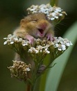 Фотография Мисюры Ирины