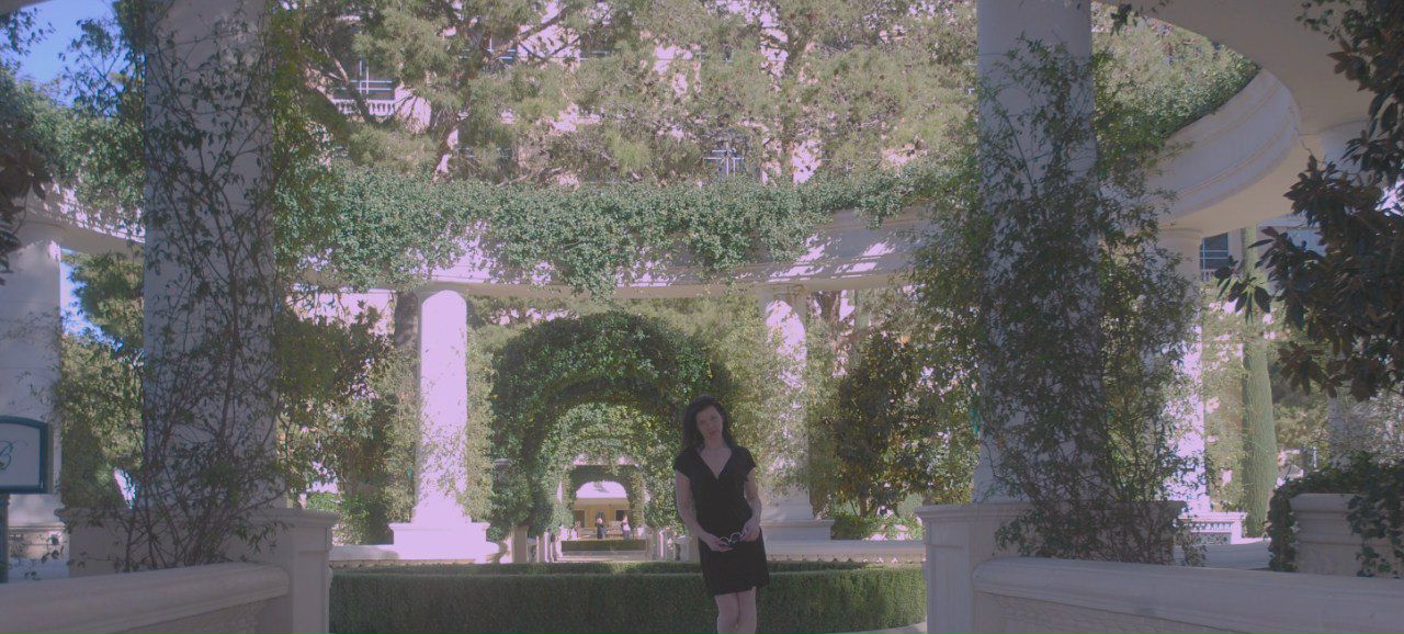 Ольчик Андрусишин | Fairfield