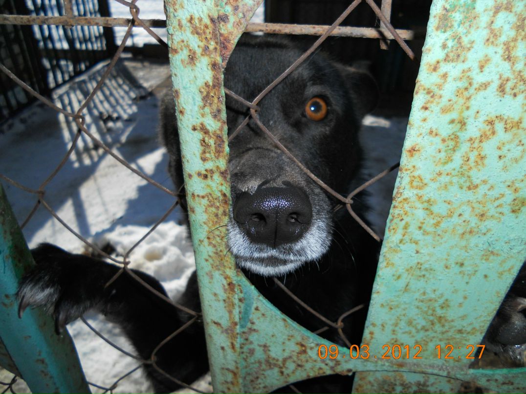 Ксюша Бандуровская | Москва
