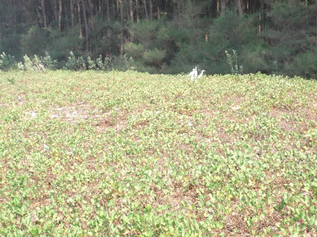 Любовь Арбанакова Савельевна | Горно-Алтайск