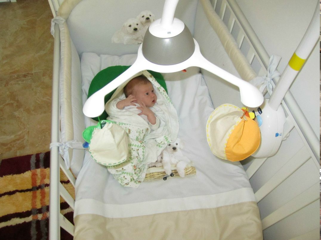 Светлана Воронина | Санкт-Петербург