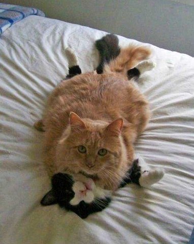 Дима Шишкинский | Киев