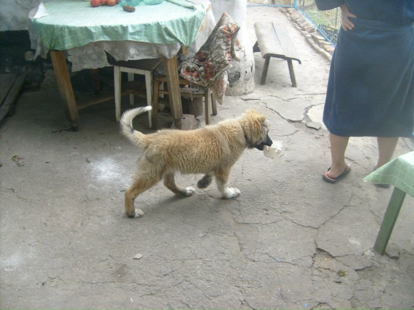 Brain Oconer | Днепр (Днепропетровск)