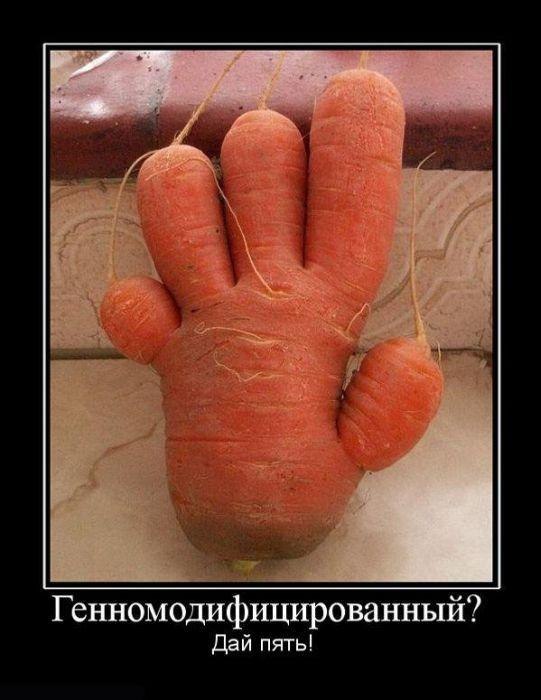 Александр  | Нижний Новгород