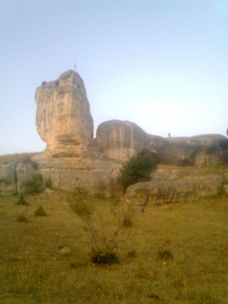 Татьяна Бартова | Краснодар