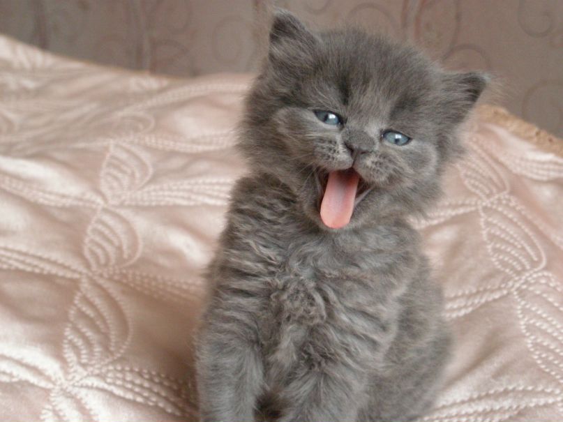 Серёга Лотц | Казань