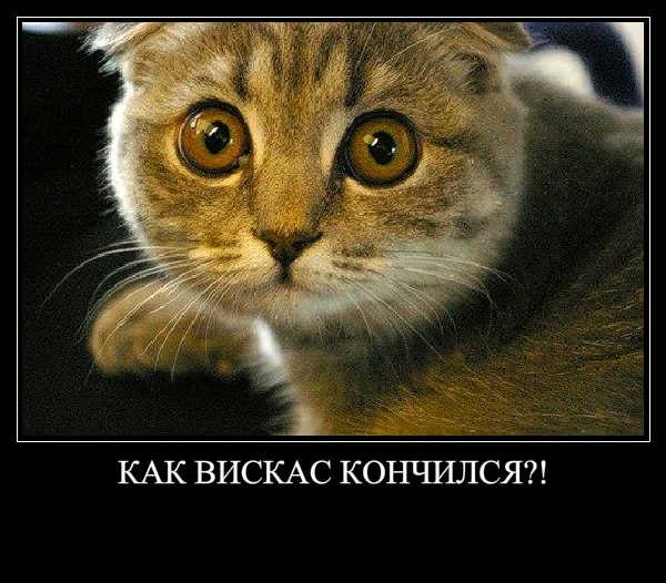 Наташа Семененко | Санкт-Петербург