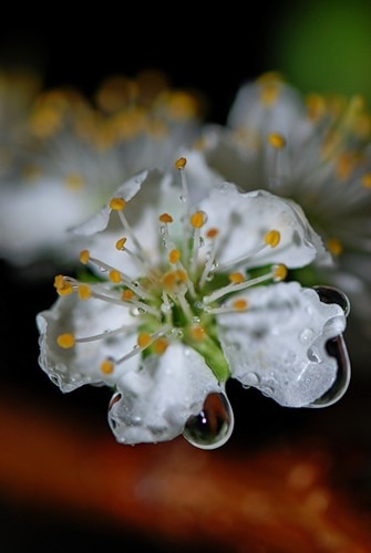 №2, Марина Волкова №2, Марина Волкова