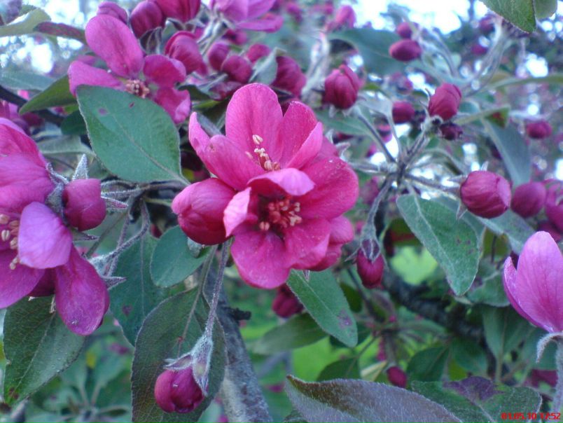 №1, Надежда Паламарчук, Киев №1, Надежда Паламарчук, Киев