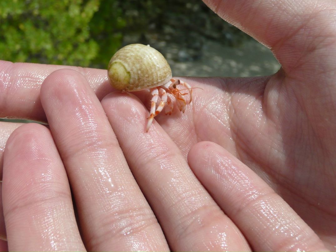 Олег Денишенко | Белгород