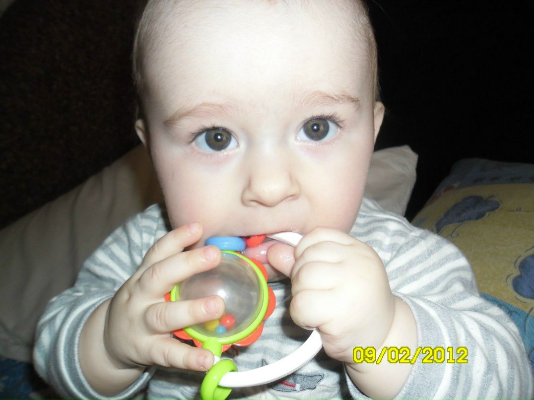 Юлія Смаль | Сокаль