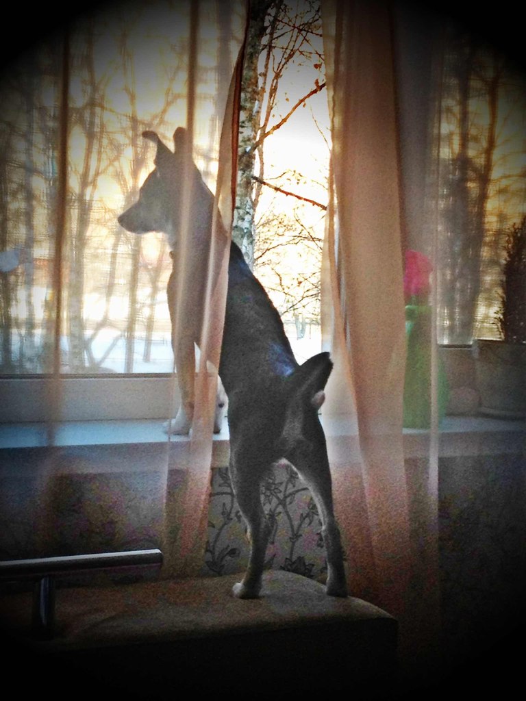 Ксения Кокунова | Москва