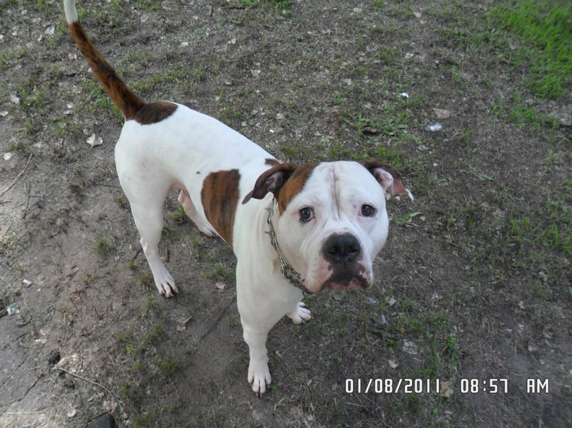 Жека Раджабов | Киев