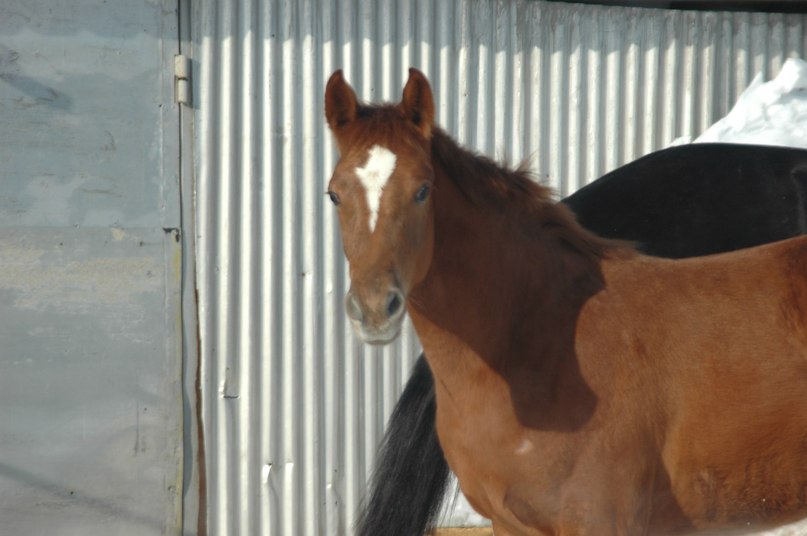 Олеся Кординова | Москва