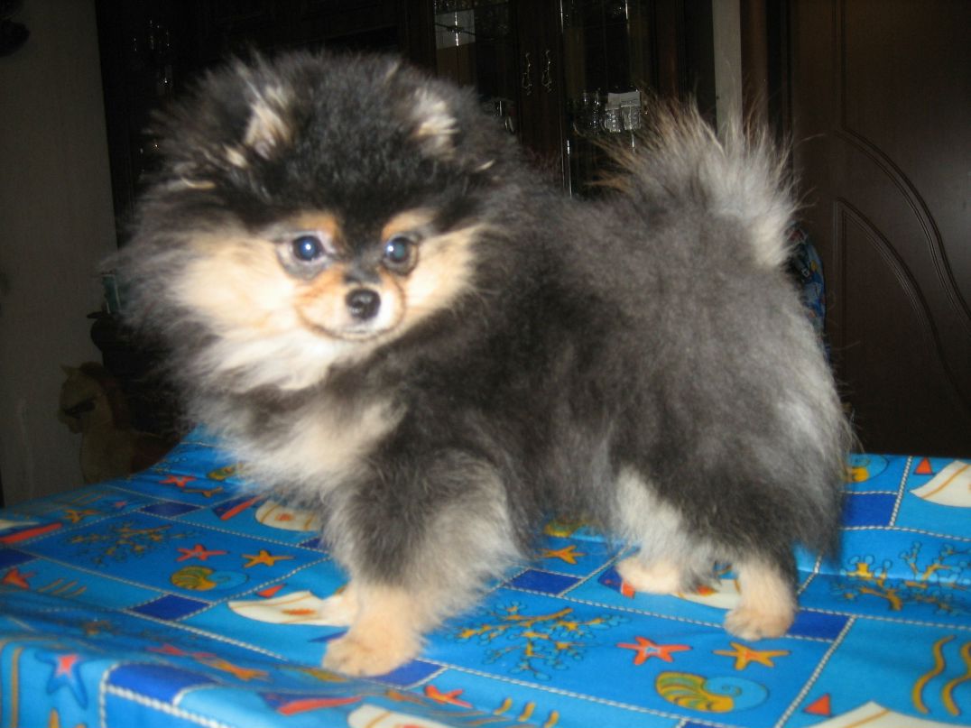 Андрей Максютенко | Санкт-Петербург