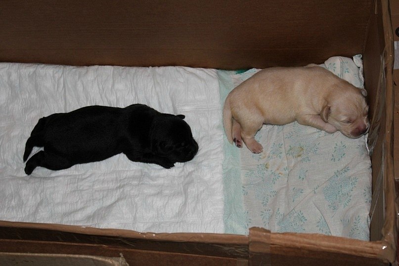 Bon Voyage Older | Уфа