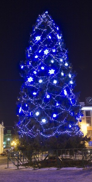 Дмитрий Трушев | Вологда