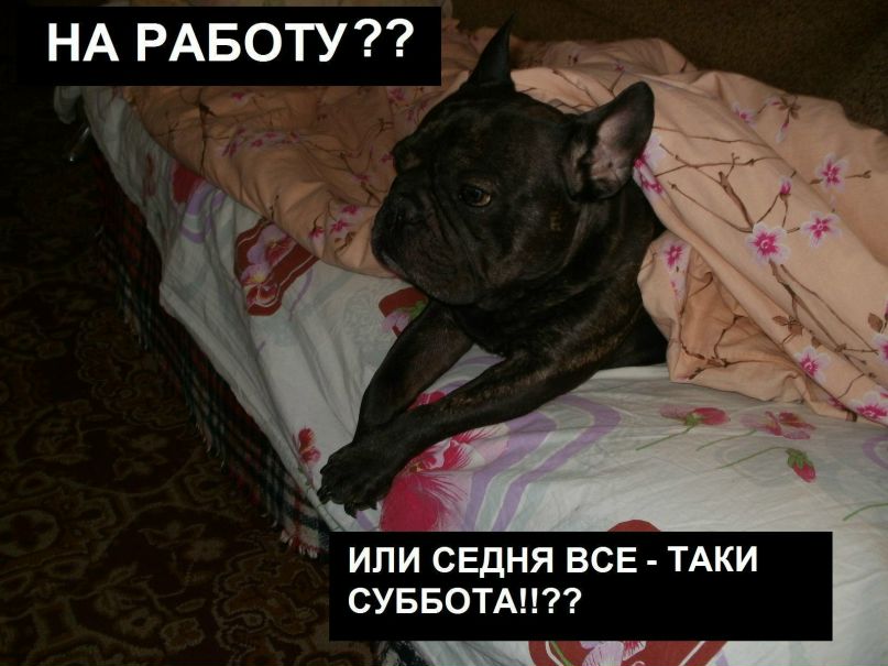 Андрей Близняков | Рязань