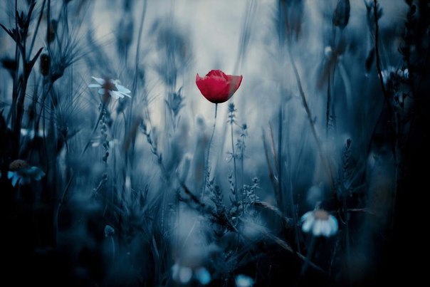 Александра Васяк | Одесса