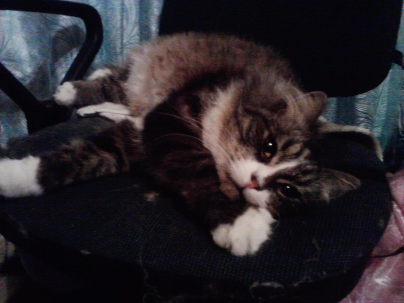 Мальвиночка Швецкова УмничкА | Санкт-Петербург