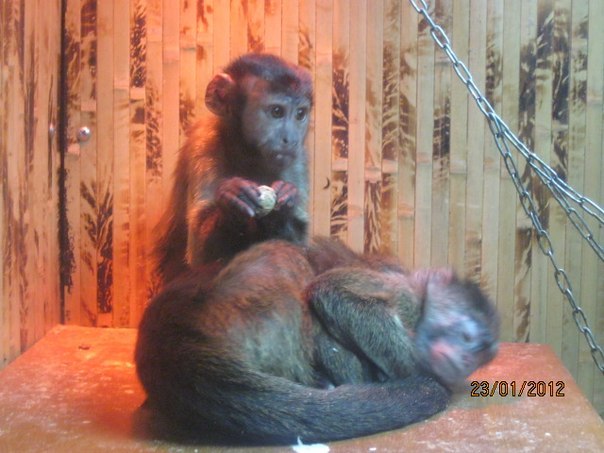 Марина Сахненко | Сумы