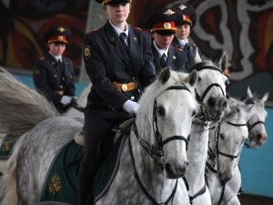 Артем Карпов | Москва