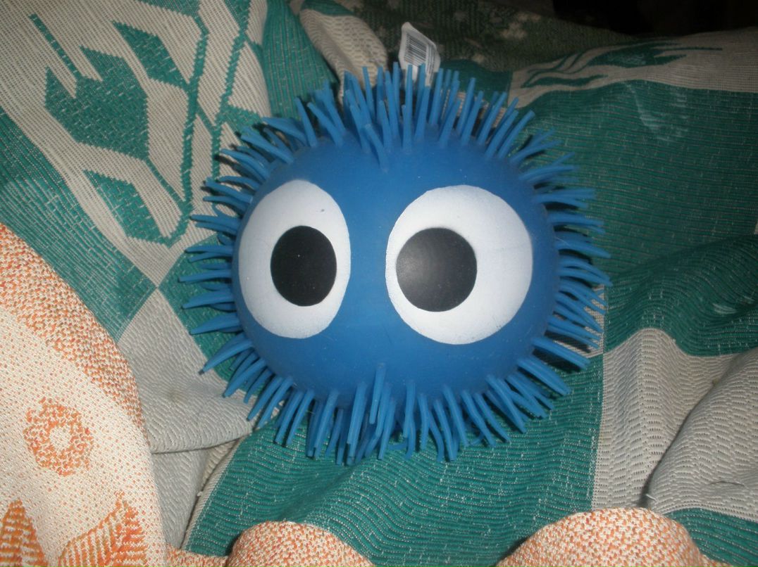 Катюха Щербакова Black_Cat | Самара