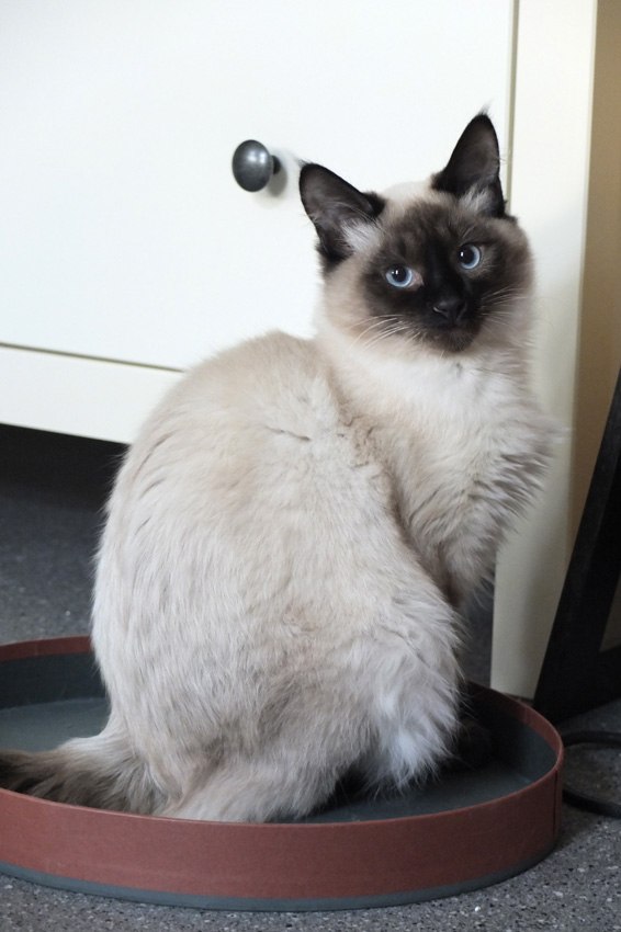 Bastian Hessler | Düsseldorf