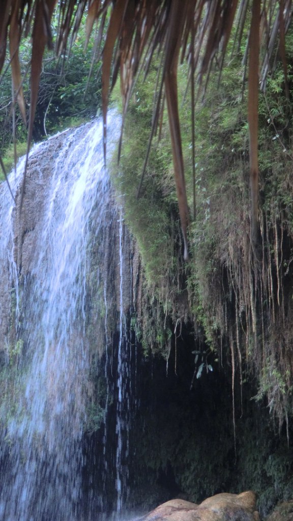 Екатерина Селиванова | Москва