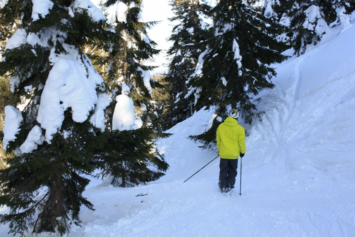 Гоша Антипов | Санкт-Петербург