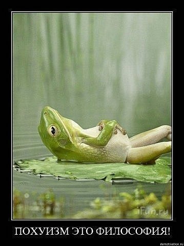 Фатина Овцана ღღღ | Mactuca