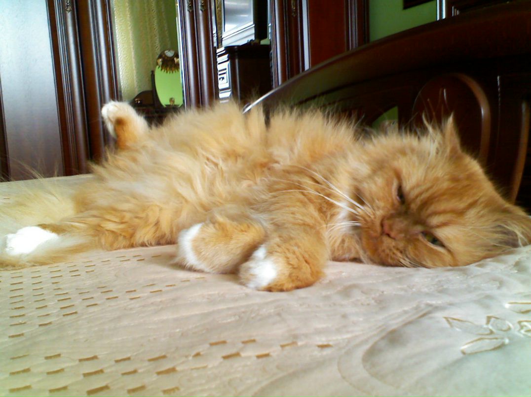 Даниил Сосулин | Москва