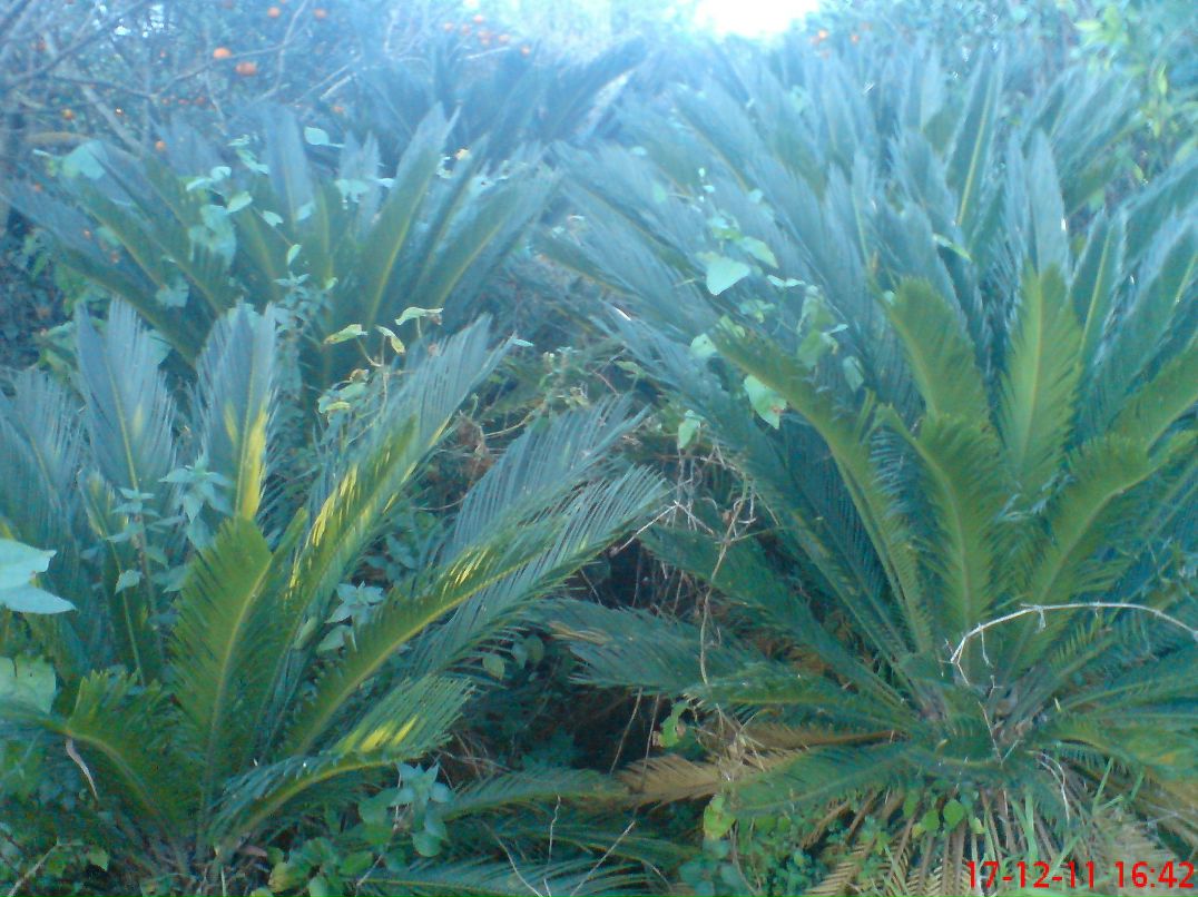 Наташа Дьячкова | Липецк