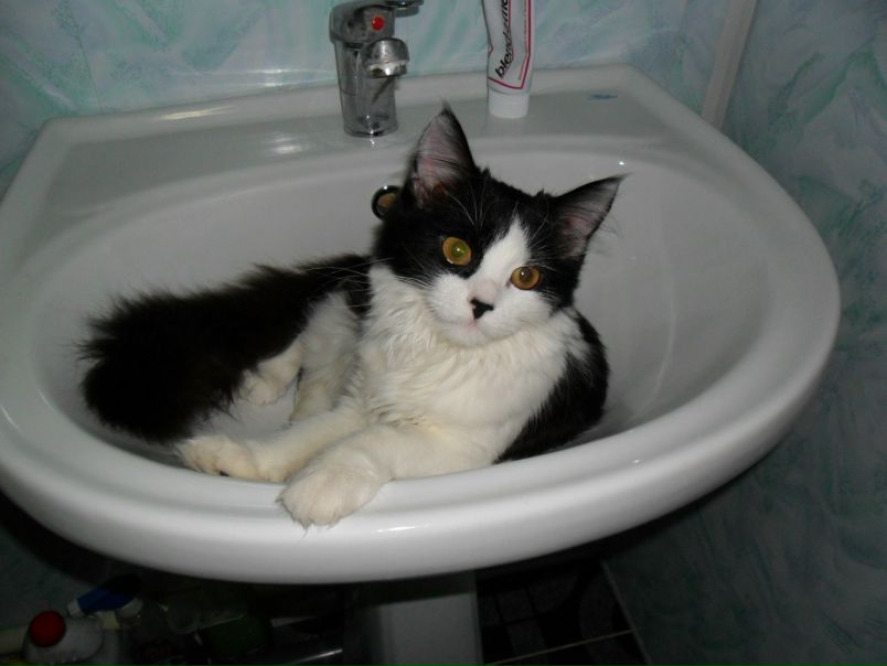 №14, Екатерина Зиновьева, 36 лет, Таганрог №14, Екатерина Зиновьева, 36 лет, Таганрог