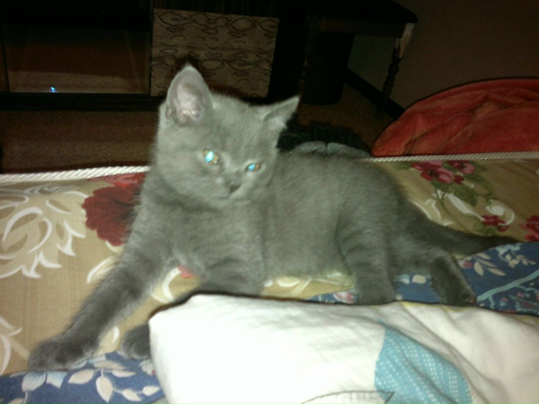 Диана Исламгулова | Уфа