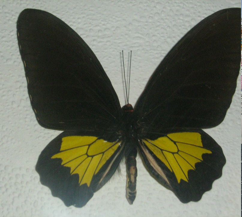 Юлия Панова | Тихвин