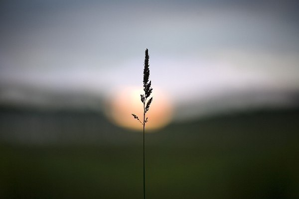 Вадим Вавилонофф | Херсон